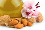 Almonds, Almond Shells and Almond Blossoms