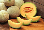 Cantelope / aka Muskmelon