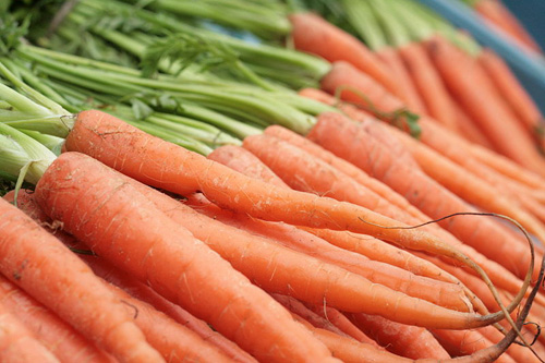 bunch of carrots with their leafy tops