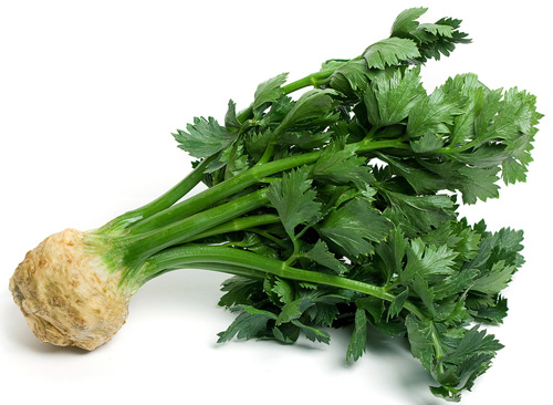 one celeriac root with its leafy top