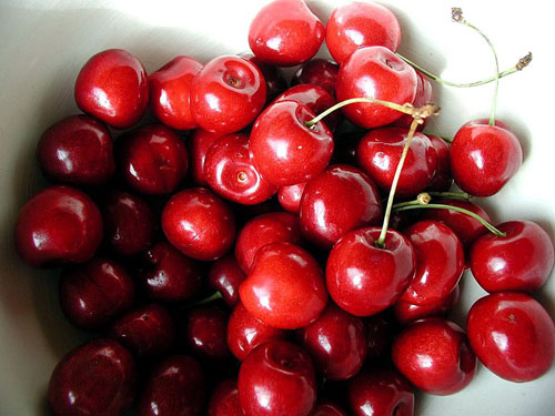 dark red and light red cherries, some with stems