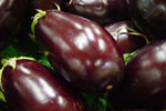 pile of dark purple raw eggplants with their leafy tops