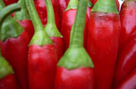 cluster of red chile peppers with stems