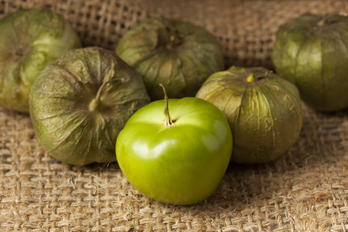 one peeled fresh bright green tomatillo and five still in their husks